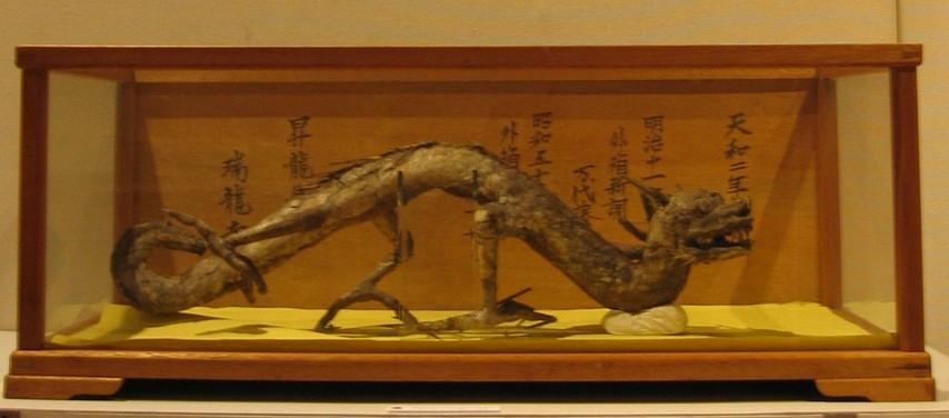 日本瑞龙寺存放的真龙标本和河童标本到底是不是真的