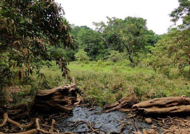 为什么有人说亚马逊雨林是人类禁区 地球十大禁区