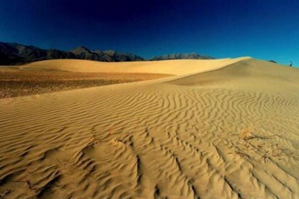 世界上海拔最高的沙漠是哪里 世界第二大沙漠是哪个沙漠