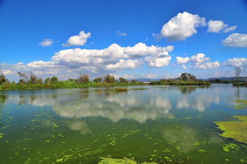 中国湿地，温润而坚强的生命载体 湿地贵在原生态什么