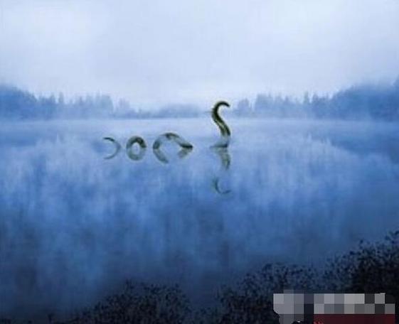 《世界十大未解之谜》 -尼斯湖水怪之迷 世界三大未解之谜