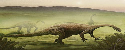 白垩纪时代都有哪些恐龙 恐龙时代叫白什么纪