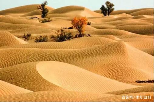 如果塔克拉玛干沙漠变成草原的话，会对中国气候有什么影响 塔克拉玛干沙漠下雨