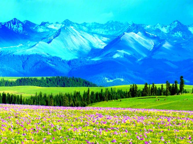 新疆维吾尔自治区旅游景点大全