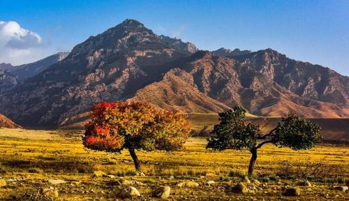 阿拉善盟小众但绝美的旅游地点推荐 国内小众但绝美的山